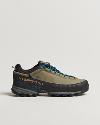  TX5 GTX Hiking Shoes Clay/Maple