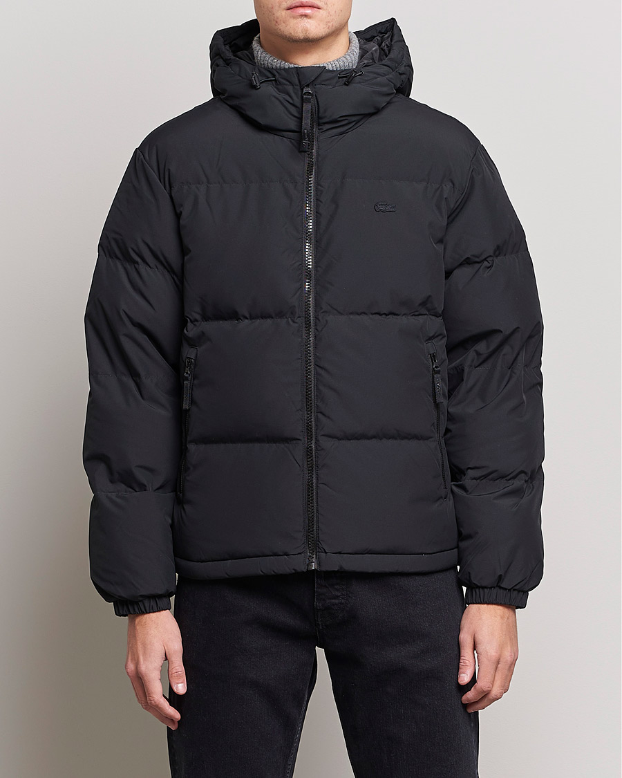 lacoste cloud coat