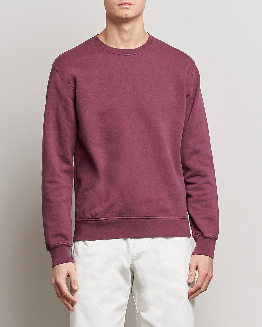 Herren | Sweatshirts | Colorful Standard | Classic Organic Crew Neck Sweat Dusty Plum