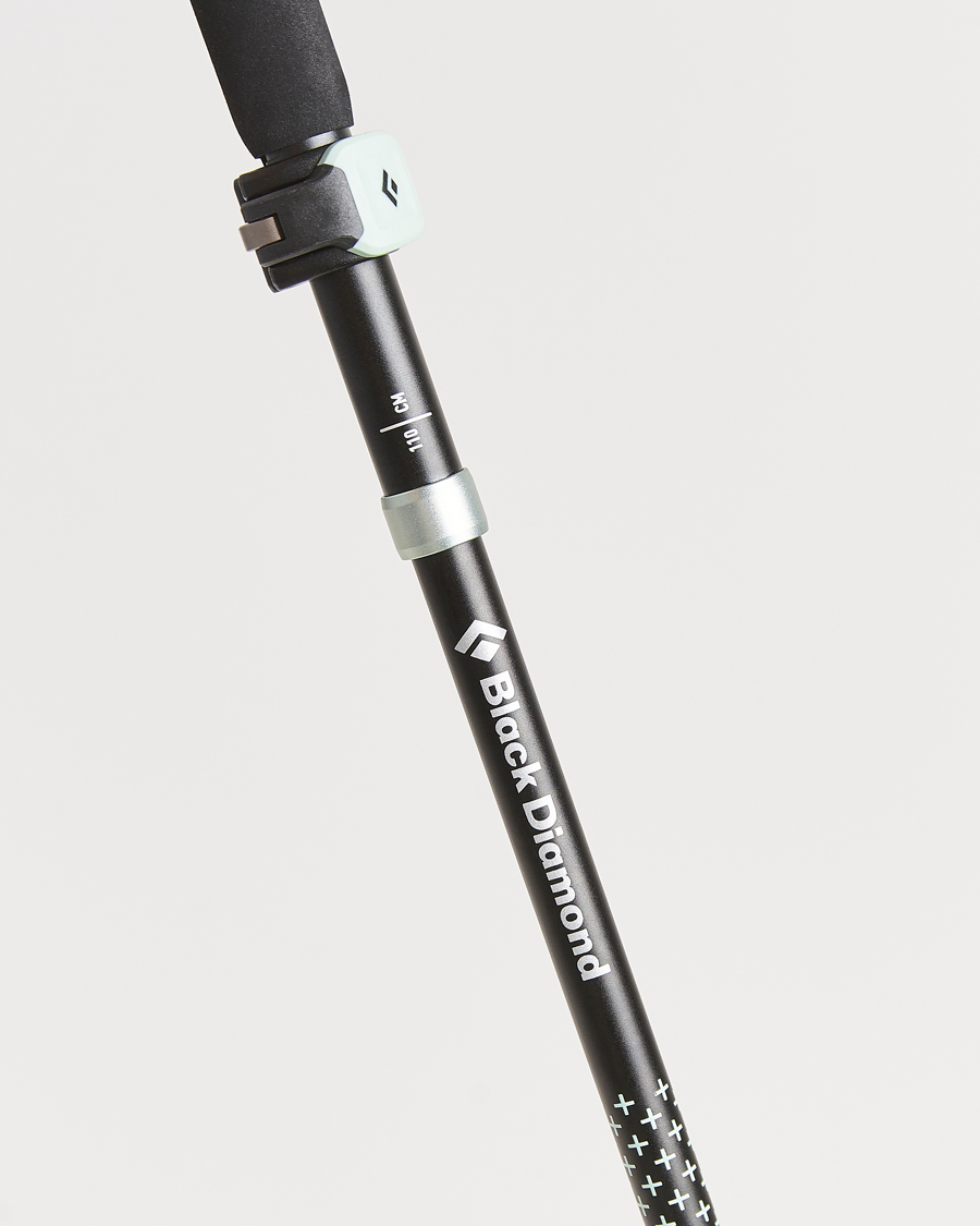 Black diamond trekking pole online